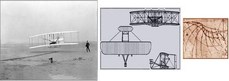 The history of flight